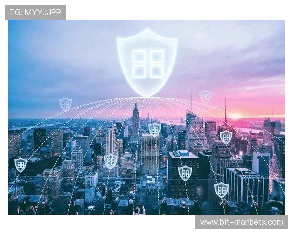 半岛官方体育登录入口安全保障措施，保障用户账号信息安全与登录体验的全面提升