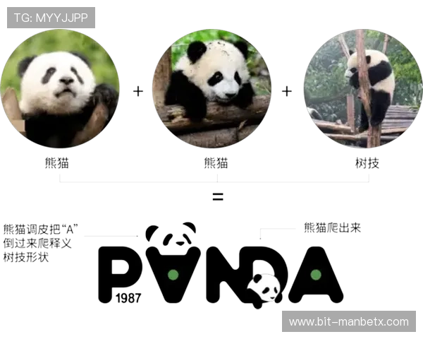 熊猫直播如何打造优质内容：内容创作与粉丝互动的最佳实践